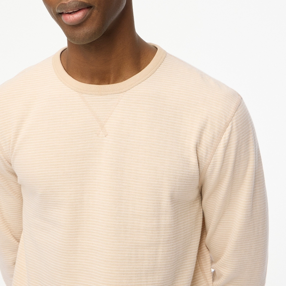 J. Crew Men's Soft Striped Crewneck T-shirt New Size Medium